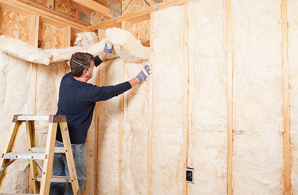 Best Insulation for Metal Buildings  in Gages Lake, IL